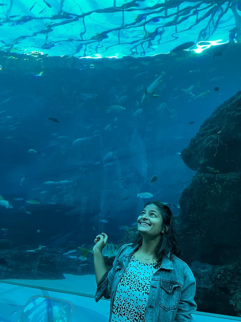 Singapore Aquarium - The Must Visit Place