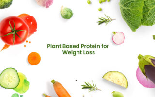Top 10 Plant Based Protein for Weight Loss